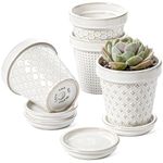 LE TAUCI Plant Pots, 4 Inch Succulent Plant Pots Indoor, Ceramic Small Flower Pots with Drainage & Saucers, Decorative Lovely Planter for Mini Cactus, Set of 4, Arctic White