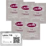 Lalvin 71B Wine Yeast (5 Pack) - Make Wine Cider Mead Kombucha At Home - 5 g Sachets - Saccharomyces cerevisiae - Sold by CAPYBARA Distributors Inc.