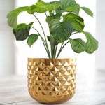 BEHOMA Metal Indoor Pineapple Texture Golden Planter, Modern Plant Pot for Living Room Balcony Office Décor Ideal for Gifting on Birthday, Anniversary 5.3 (Height) × 6.1 (Dia) (Plants not Included)