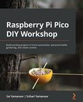 Raspberry Pi Pico DIY Workshop: Bui