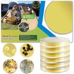 Mold Test Kit for Home - DIY Mold T