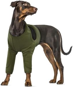 Traje de R