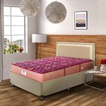 peps Springkoil Bonnell 10-inch Single Size Spring Mattress (Maroon, 78x48x10)