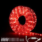 beatineon 33FT Rope Lights Outdoor with Remote,Cuttable Connectable, 300LEDs Strip Lights with Adjustable Brightness Waterproof with Plug for Patio, Christmas Decoration (Red)