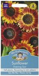 Mr. Fothergill's Evening Sun Sunflower Seeds