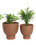Small & Large Dark Terracotta Plant Pot - 2 Pack Terra Cotta Plant Pot with Drainage Hole and Saucer, 6 Inch & 8 Inch Clay Flower Pot with Tray, Terracotta Pot for Indoor Outdoor Plant