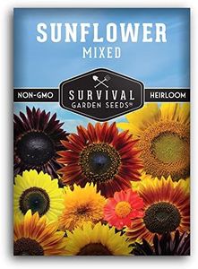 Survival G