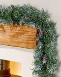 WeRChristmas Scandinavian Blue Spruce Christmas Garland with Pine Cones, 9 feet - Green