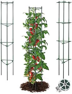 GROWNEER 3