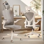 SICHY AGE Ergonomic Office Chair Ho