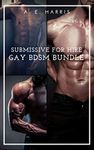 Submissive For Hire: Gay BDSM Bundle