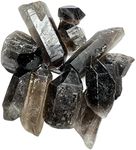 Bulk Semi-Precious Gemstones & Crystal Points | Rough Gemstones Bulk | Loose Gems | Ruby, Emerald, Sapphire & More! (1LB, Smoky Quartz Points)