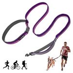 Tuff Pupper Hands Free Bungee Dog Leash | Lightweight for Running Jogging Walking | Adjustable Padded Waist Belt (24-50 inch) | Bungee Stretch 3 to 6 Feet | Strong Ballistic Nylon w/Reflective Strips