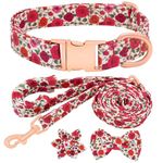 Girl Dog Collar and Lead Set with Bow Tie, Adjustable Soft Padded Pet Collar with Detachable Flower and Dog Tag Strong Gold Buckle for Small Medium Large Dogs S, Red rose