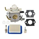 ALL-CARB C1M-K77 Carburetor Fits for Echo PB-400 PB403H PB403T PB460LN PB461LN PB-602 PB-603 PB-610 PB-611 PB-620 PB-620H PB-620ST Blowers