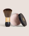 Bronze Cactus Quick-Dry Powder Kit 
