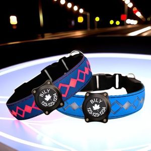 Personalized Flashing Night Dog Collar with Waterproof airtag Holder for Black Dog Night Walking (Blue, M(11.8-15.7"))