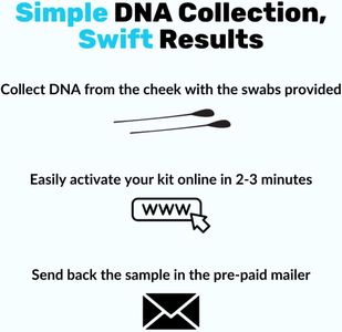 NutriPaw Dog DNA Test Kit – Breed & Health Screening
