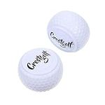 INOOMP 2pcs Funny Kid Flat Aids Backyard Practicing Pet Outdoor Accessory Practice Balls Golfing Womens Supply Rubber Rod Accessories Men Putting White Training Foam Golf Professional