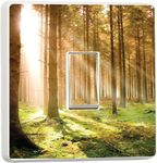 Forest at Dawn Woodland Light Switch Cover Sticker (3801688) Forest