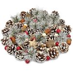 Pextian 108pcs Artificial Pine Cone Berry Set, Christmas Wreath Making Supplies, Snowy Pinecones White Berries Wreath Making Kit for Wreath, Garland, Craft, Winter DIY Christmas Decorations
