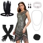 PLULON 1920s Dresses for Women, Sequin Fringed Gatsby Flapper Cocktail Dresses with 20s Accessories Set, Roaring 20s Costumes