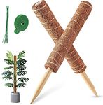 MABUSIYI Moss Pole, 2PCS 40CM/16inches Coir Moss Pole for Monstera & Cheese Plant, Plant Stands Indoor, 20 Cable Ties and 2M Garden Ties(16" 2PCS)