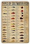 ETCOTUY Types Of Saltwater Fish Vin