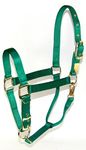 Hamilton 1DAS LGGN 1-Inch Nylon Halter with Adjustable Chin, Green - Large Size, 1100-1600-Pounds