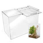 Tarantula Enclosure XL (10”x7”x14”) Reptile Terrarium w/Sliding Magnetic Door-Great Reptile Tank for Terrestrial or Arboreal Animals- Acrylic Terrarium for Juvenile or Adult Spiders- Hermit Crab Cage