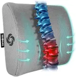 Samsonite Ergonomic Lumbar Support 