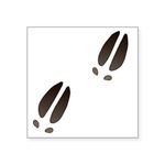 CafePress Moose Tracks Square Sticker 3 X 3 Square Bumper Sticker, 3"x3" (Small) or 5"x5" (Large)