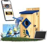 BirdoorKam Blud Bird House with Camera Solar Powered, 2K HD Smart Bird Watching Cam with Auto Detection, Solid Pine Wood Birdhouse with Camera Inside,Gift for Bird Lovers,Bluebird Nest House