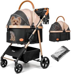 Dog Cat St