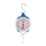 Silverline Hanging Scales Heavy Duty 100kg (251073)