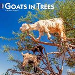 Goats in T