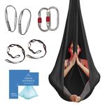 Aum Active Aerial Yoga Hammock - Durable Aerial Silk with Extension Straps, Carabiners, and Pose Guide - Aerial Silks for Home, Antigravity Yoga, Inversion Exercises, Yoga Starter Kit for All Levels