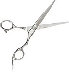 Fhi Heat Stone Stainless Shear Scissors, 6 Inch