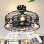 Depuley Retro Caged Black Ceiling Fans with Lights and Remote Control,Farmhouse Fan Light,Industrial Ceiling Fan with Led Light for Living Room, Bedroom, Kitchen,Timer,4xE27 Bulb Base