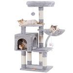 Cat Towers