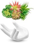 Large Air Plant Holder, Hand Ceramic Stand, Tilandsia Container, Cute Unique Décor for Home Office, Cool Desk Art Table, Ocarina Display, Accent Conversation Piece. Bonus: 5 Faux Succulents Included.