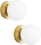 Globe Electric Wall Light Fixtures