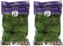 Super Moss Mood Moss Preserved Natural Green 1200cuin, Fresh Green, 200 in3 Bag (Appx. 8oz) (21539) (Pack of 2)