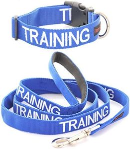 TRAINING (