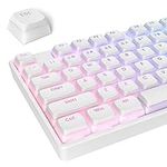 Ussixchare PBT Pudding Keycaps Set 117 Keys, Double Shot Translucent XDA Profile for ISO & ANSI Layout 61/68/84/87/104 Keys Mechanical Keyboard