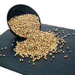 More Spices - Coriander Seeds, 100g (Loose)