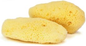 IntimateCare Sea Sponges. Mediterranean Sea Sponges in Plastic Free Packaging. Absolute Quality. (Golden Yellow, 2x 6.5-8cm / 2.5-3in’)