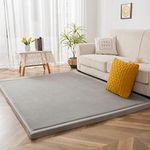 MAXYOYO Coral Velvet Area Rug, 3cm 