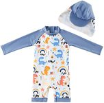 Baby Boys UPF 50+ Sun Protection One Piece Rashguard Swimsuit with Snap Bottom (Grey-Dinosaur,6-9 Months)