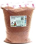 ADILAID Chick Rapid Gain for Chicken Chicks (8 Kg)